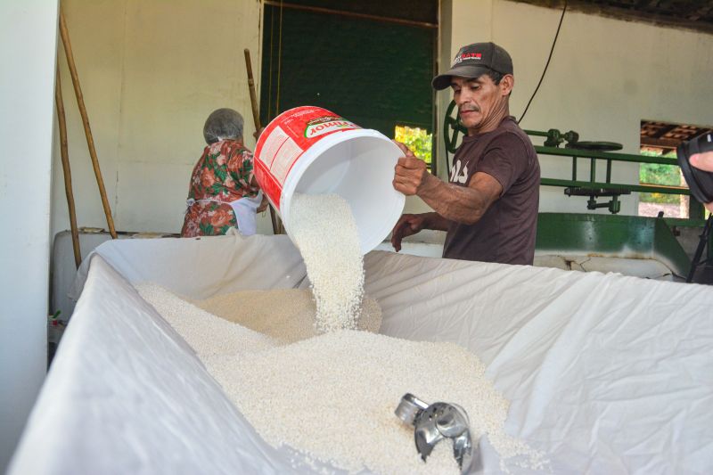 <div class='credito_fotos'>Foto: Divulgação / Agência Pará | <a href='/midias/2024/originais/18101_b4ad7914-ea38-fd1e-e536-46c0d5c07a13.jpg' download><i class='fa-solid fa-download'></i> Download</a></div>