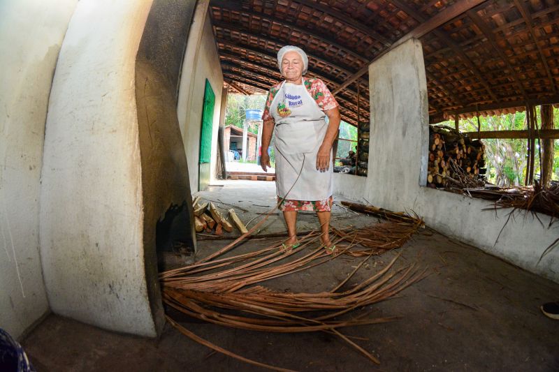 <div class='credito_fotos'>Foto: Divulgação / Agência Pará | <a href='/midias/2024/originais/18101_b6cce967-5fed-f512-4723-1c52a355f761.jpg' download><i class='fa-solid fa-download'></i> Download</a></div>