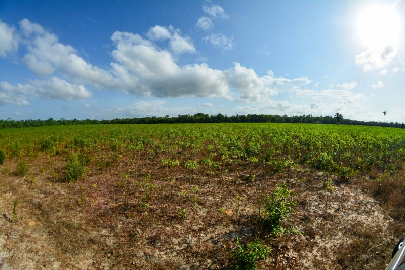 <div class='credito_fotos'>Foto: Divulgação / Agência Pará | <a href='/midias/2024/originais/18101_c04f8e54-97fb-7cae-364f-90ec6217889f.jpg' download><i class='fa-solid fa-download'></i> Download</a></div>