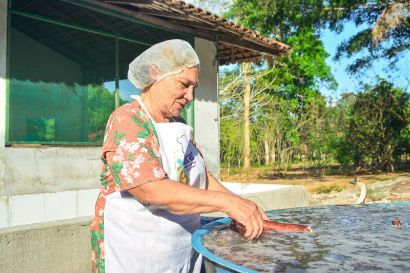 <div class='credito_fotos'>Foto: Divulgação / Agência Pará | <a href='/midias/2024/originais/18101_cd590348-7ae1-b7d3-8108-77169407e170.jpg' download><i class='fa-solid fa-download'></i> Download</a></div>