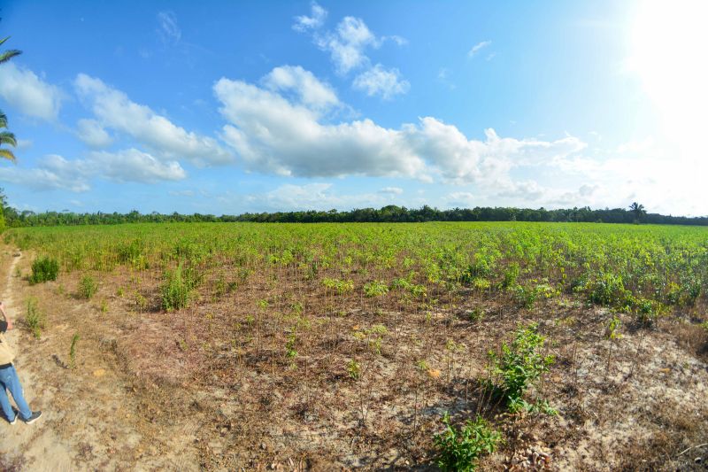 <div class='credito_fotos'>Foto: Divulgação / Agência Pará | <a href='/midias/2024/originais/18101_d0521eb9-4fe5-d914-a3a9-f96f3cef2dc7.jpg' download><i class='fa-solid fa-download'></i> Download</a></div>