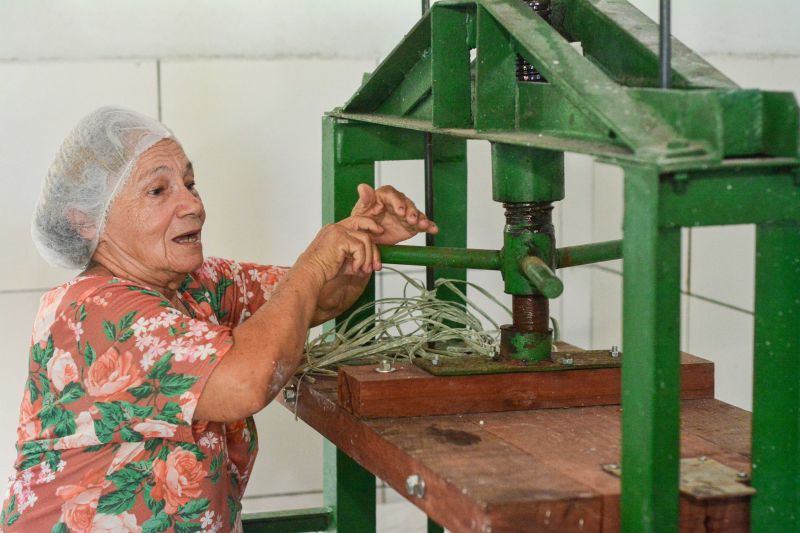 <div class='credito_fotos'>Foto: Divulgação / Agência Pará | <a href='/midias/2024/originais/18101_ed6d7641-9eef-b00d-397e-eca1f1b4e9fe.jpg' download><i class='fa-solid fa-download'></i> Download</a></div>