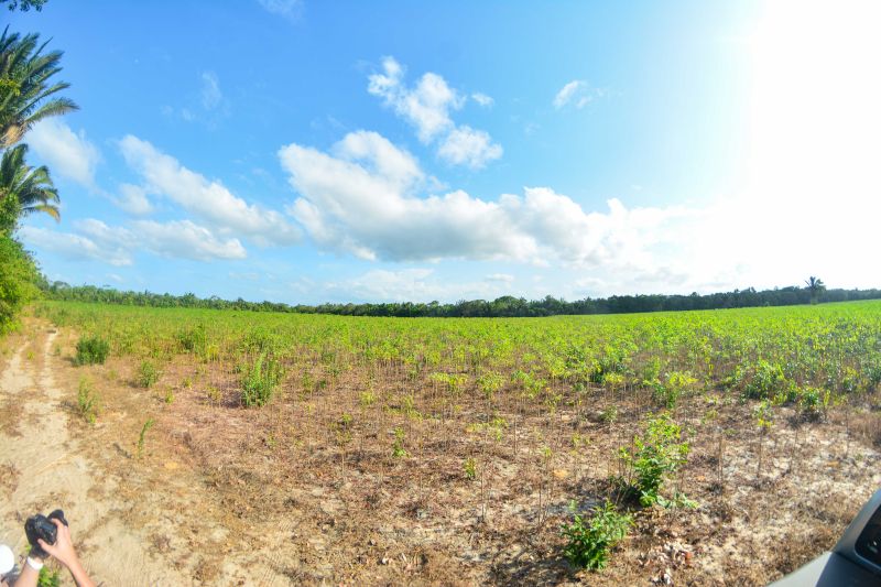 <div class='credito_fotos'>Foto: Divulgação / Agência Pará | <a href='/midias/2024/originais/18101_ef1b7288-9665-719c-64f2-ccd549bda3ab.jpg' download><i class='fa-solid fa-download'></i> Download</a></div>