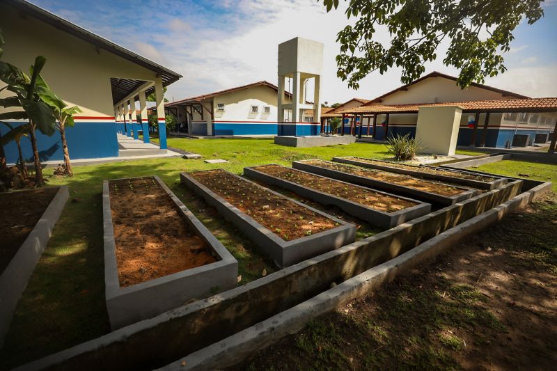 <div class='credito_fotos'>Foto: Bruno Cecim / Ag.Pará | <a href='/midias/2024/originais/18219_264573c6-8922-e845-834f-de2d89b78557.jpg' download><i class='fa-solid fa-download'></i> Download</a></div>
