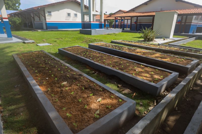 <div class='credito_fotos'>Foto: Bruno Cecim / Ag.Pará | <a href='/midias/2024/originais/18219_2d076cbc-f110-bd6f-0004-8c413eddf0e2.jpg' download><i class='fa-solid fa-download'></i> Download</a></div>