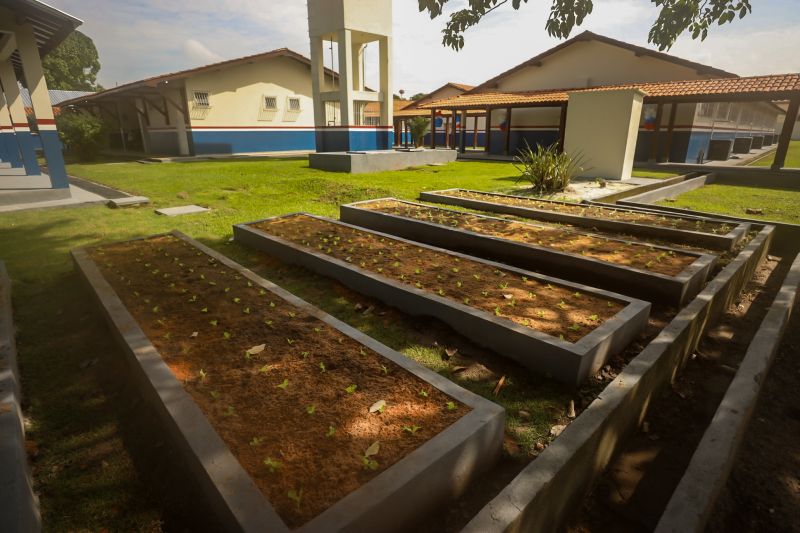 <div class='credito_fotos'>Foto: Bruno Cecim / Ag.Pará | <a href='/midias/2024/originais/18219_edc8e99b-93a6-bae0-eb30-d70fbf895d3c.jpg' download><i class='fa-solid fa-download'></i> Download</a></div>