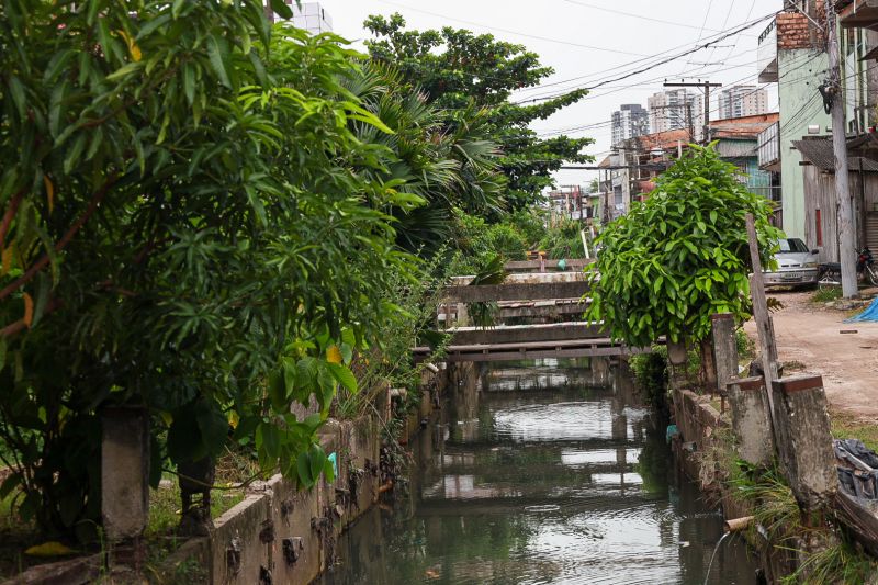 <div class='credito_fotos'>Foto: Alex Ribeiro / Ag. Pará | <a href='/midias/2024/originais/18233_23590a02-d250-cd83-89c0-750c131b57c4.jpg' download><i class='fa-solid fa-download'></i> Download</a></div>