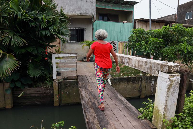 <div class='credito_fotos'>Foto: Alex Ribeiro / Ag. Pará | <a href='/midias/2024/originais/18233_7f22d600-9c47-db6c-379a-5e735d26683b.jpg' download><i class='fa-solid fa-download'></i> Download</a></div>