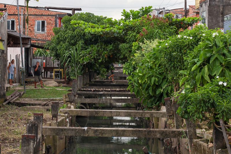 <div class='credito_fotos'>Foto: Alex Ribeiro / Ag. Pará | <a href='/midias/2024/originais/18233_cdff1870-0726-8515-5ef7-2abcf1af5b36.jpg' download><i class='fa-solid fa-download'></i> Download</a></div>