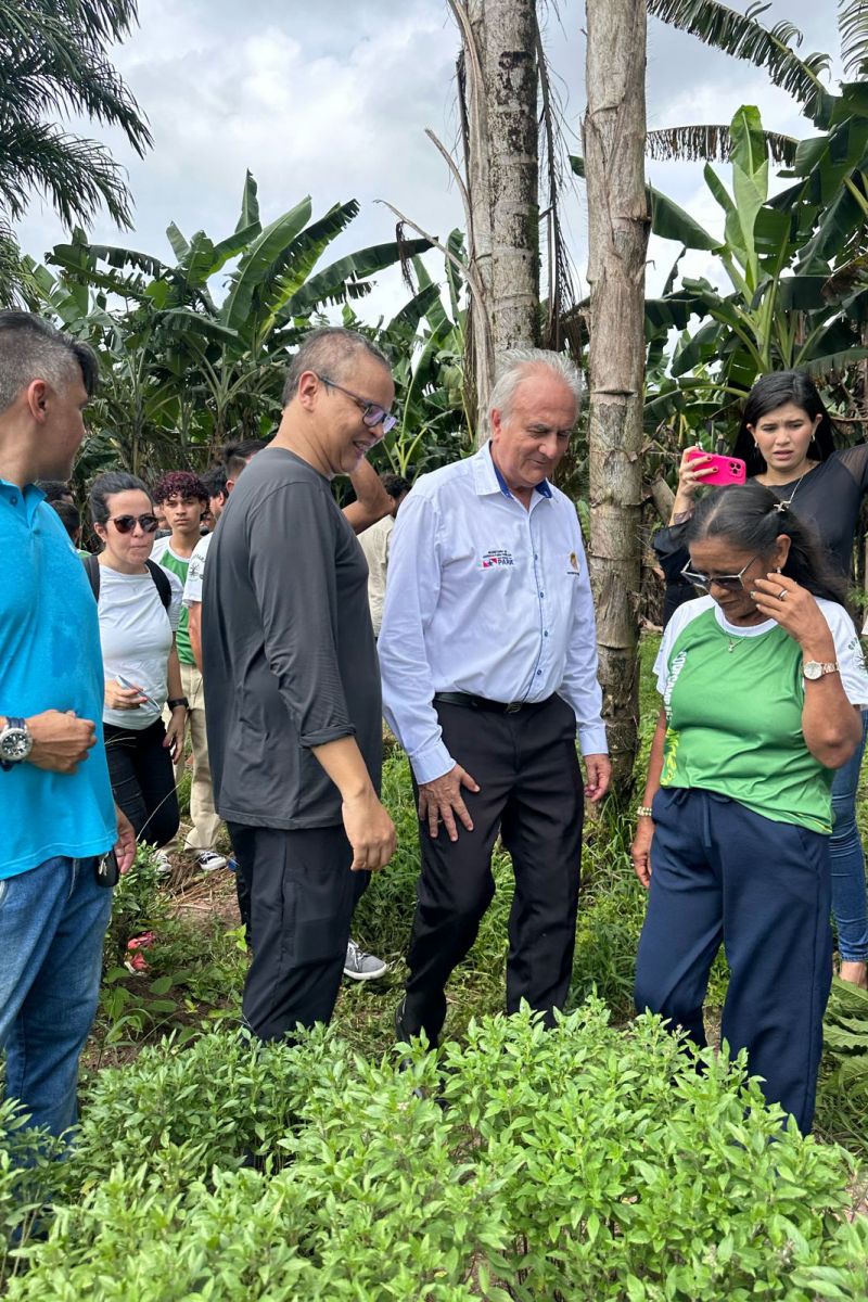 <div class='credito_fotos'>Foto: Divulgação / Agência Pará | <a href='/midias/2024/originais/18246_f7279139-1585-c715-ee0d-7d9d586e44af.jpg' download><i class='fa-solid fa-download'></i> Download</a></div>