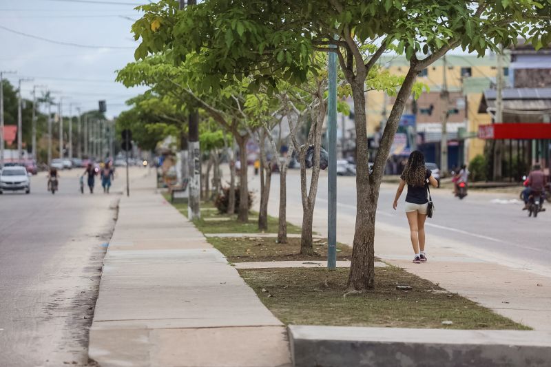 <div class='credito_fotos'>Foto: Bruno Cecim / Ag.Pará | <a href='/midias/2024/originais/18320_8004963d-3c3c-9bc9-c96f-cc899fb6d87c.jpg' download><i class='fa-solid fa-download'></i> Download</a></div>