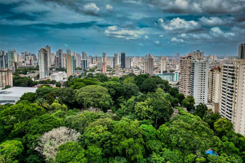 <div class='credito_fotos'>Foto: Raphael Luz / Agência Pará | <a href='/midias/2024/originais/18344_b5ef6e26-24c2-ce27-67ab-1dca2669ed08.jpg' download><i class='fa-solid fa-download'></i> Download</a></div>