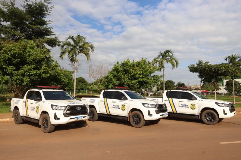 <div class='credito_fotos'>Foto: Bruno Cecim / Ag.Pará | <a href='/midias/2024/originais/18375_630dcc5d-c33d-ea9e-3fb7-5d35a4d2cae3.jpg' download><i class='fa-solid fa-download'></i> Download</a></div>