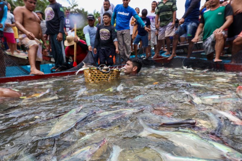 <div class='credito_fotos'>Foto: Alex Ribeiro / Ag. Pará | <a href='/midias/2024/originais/18428_21d5ef91-e068-6ad0-b441-c4e495daf28e.jpg' download><i class='fa-solid fa-download'></i> Download</a></div>