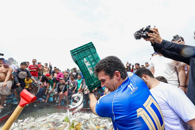 <div class='credito_fotos'>Foto: Alex Ribeiro / Ag. Pará | <a href='/midias/2024/originais/18428_b62b27f5-dda5-21bc-42f3-8cfac6ad427b.jpg' download><i class='fa-solid fa-download'></i> Download</a></div>