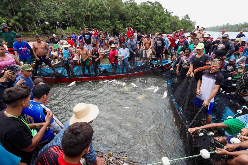 <div class='credito_fotos'>Foto: Alex Ribeiro / Ag. Pará | <a href='/midias/2024/originais/18428_cc7c1e2c-9472-e43b-89c5-80d02b38f606.jpg' download><i class='fa-solid fa-download'></i> Download</a></div>