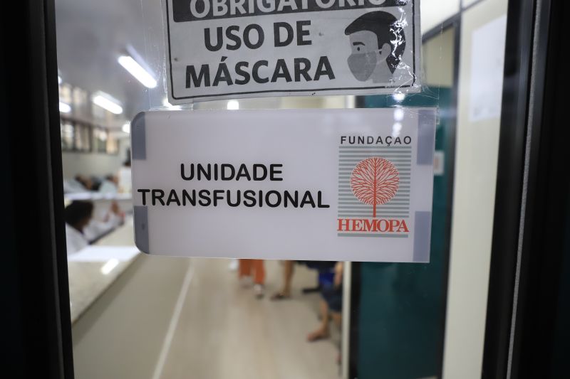 <div class='credito_fotos'>Foto: Bruno Cruz / Agência Pará | <a href='/midias/2024/originais/18456_3537f8c5-3368-ae7a-38e8-db739509a493.jpg' download><i class='fa-solid fa-download'></i> Download</a></div>