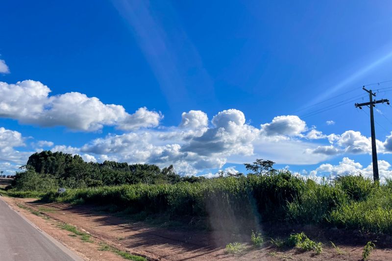 <div class='credito_fotos'>Foto: Rosivaldo Almeida / Agência Pará | <a href='/midias/2024/originais/18560_9fc4d347-e187-7029-aa3e-05a6b57c25bb.jpg' download><i class='fa-solid fa-download'></i> Download</a></div>