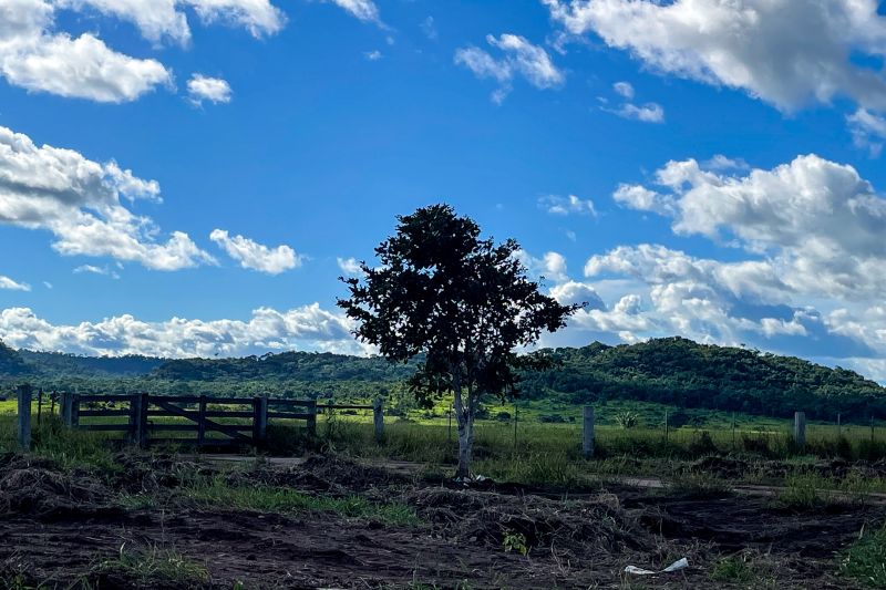 <div class='credito_fotos'>Foto: Rosivaldo Almeida / Agência Pará | <a href='/midias/2024/originais/18560_afaef0cc-ee68-7b57-31d9-e9d0c09c7bd3.jpg' download><i class='fa-solid fa-download'></i> Download</a></div>