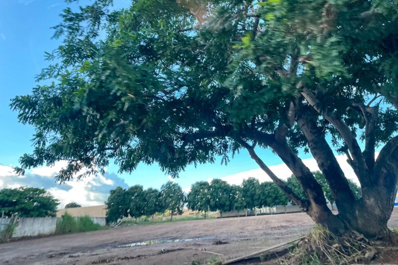 <div class='credito_fotos'>Foto: Rosivaldo Almeida / Agência Pará | <a href='/midias/2024/originais/18560_f1668b24-4fb8-5aad-1268-ec44071f52dd.jpg' download><i class='fa-solid fa-download'></i> Download</a></div>