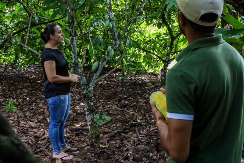<div class='credito_fotos'>Foto: Pedro Guerreiro / Ag. Pará | <a href='/midias/2024/originais/18609_24b152db-d724-9756-9133-b14b94b9339a.jpg' download><i class='fa-solid fa-download'></i> Download</a></div>