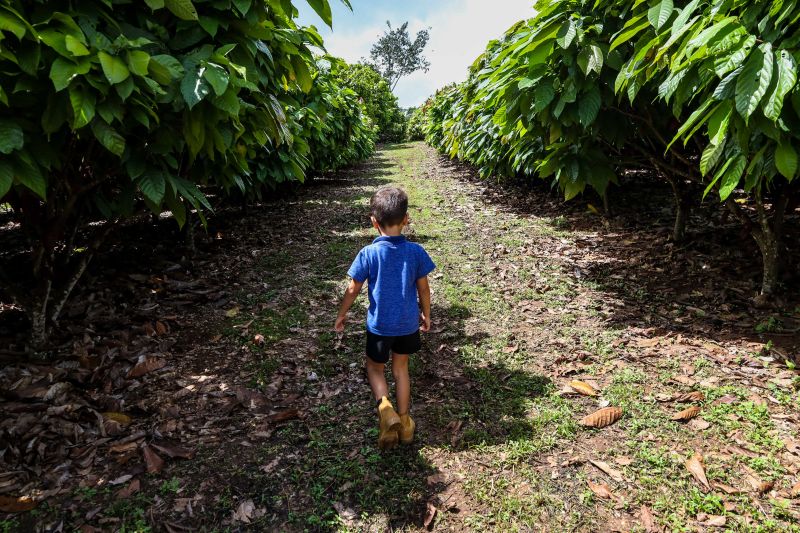 <div class='credito_fotos'>Foto: Pedro Guerreiro / Ag. Pará | <a href='/midias/2024/originais/18609_5f6d1dc1-a1c1-9c6d-8f1d-7baf5afd1885.jpg' download><i class='fa-solid fa-download'></i> Download</a></div>