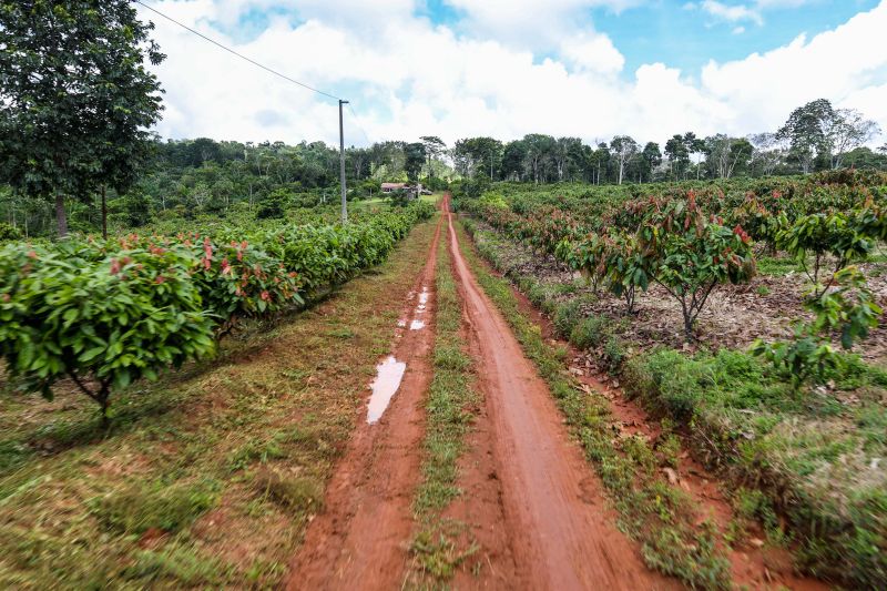 <div class='credito_fotos'>Foto: Pedro Guerreiro / Ag. Pará | <a href='/midias/2024/originais/18609_65b46ffa-7fc2-68e9-cd4d-e45634dcc51b.jpg' download><i class='fa-solid fa-download'></i> Download</a></div>