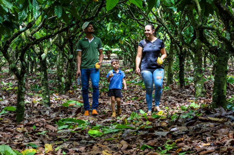 <div class='credito_fotos'>Foto: Pedro Guerreiro / Ag. Pará | <a href='/midias/2024/originais/18609_88b8c84d-a479-6d2d-5627-47d2cc425275.jpg' download><i class='fa-solid fa-download'></i> Download</a></div>