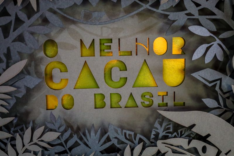 <div class='credito_fotos'>Foto: Pedro Guerreiro / Ag. Pará | <a href='/midias/2024/originais/18609_c71914a4-a971-4108-d5b1-c155f79ff62b.jpg' download><i class='fa-solid fa-download'></i> Download</a></div>
