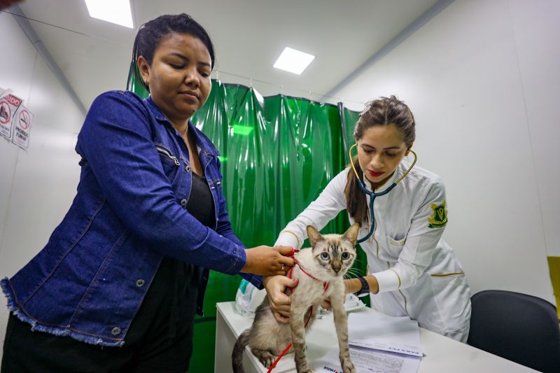 <div class='credito_fotos'>Foto: Bruno Cecim / Ag.Pará | <a href='/midias/2024/originais/18666_78c603d5-c47c-5f1d-8fc8-4f02765cfd4f.jpg' download><i class='fa-solid fa-download'></i> Download</a></div>