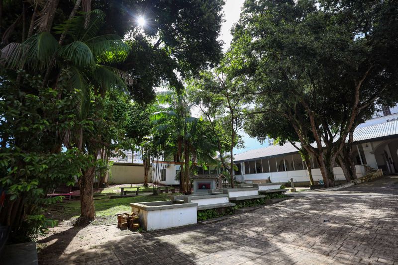 <div class='credito_fotos'>Foto: Rodrigo Pinheiro / Ag.Pará | <a href='/midias/2024/originais/18673_f1bab442-e763-5105-927d-2a2bbfc39379.jpg' download><i class='fa-solid fa-download'></i> Download</a></div>