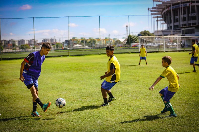<div class='credito_fotos'>Foto: Pedro Guerreiro / Ag. Pará | <a href='/midias/2024/originais/18685_4518937e-a2ac-2c93-653a-915ef22d4fae.jpg' download><i class='fa-solid fa-download'></i> Download</a></div>