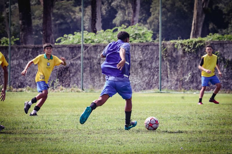 <div class='credito_fotos'>Foto: Pedro Guerreiro / Ag. Pará | <a href='/midias/2024/originais/18685_abc3bfb1-ba66-d295-a215-8a825f31316d.jpg' download><i class='fa-solid fa-download'></i> Download</a></div>