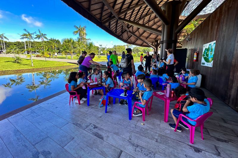 <div class='credito_fotos'>Foto: Vinícius Leal / Ascom Ideflor-Bio | <a href='/midias/2024/originais/18844_0fb23fc2-e045-6d24-b5ae-bc21afaf3f02.jpg' download><i class='fa-solid fa-download'></i> Download</a></div>