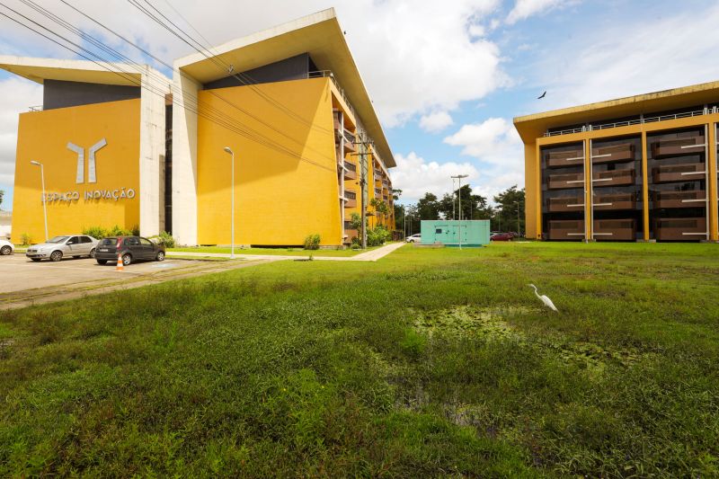 <div class='credito_fotos'>Foto: Bruno Cecim / Ag.Pará | <a href='/midias/2024/originais/18855_6b81488a-07b3-0b00-3c81-fa549b602fd6.jpg' download><i class='fa-solid fa-download'></i> Download</a></div>