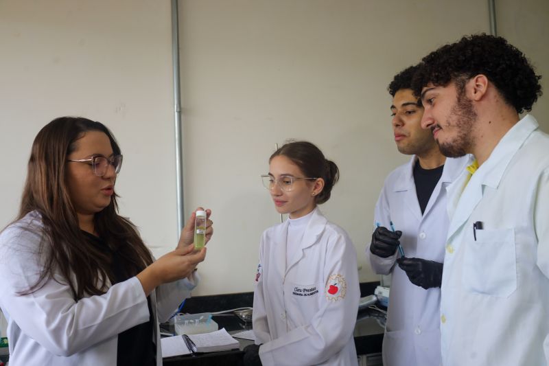 <div class='credito_fotos'>Foto: Bruno Cecim / Ag.Pará | <a href='/midias/2024/originais/18855_c13b81e3-3915-4e41-aa4f-091f46633b6b.jpg' download><i class='fa-solid fa-download'></i> Download</a></div>
