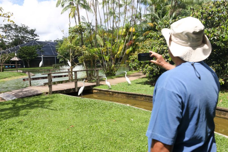 <div class='credito_fotos'>Foto: Pedro Guerreiro / Ag. Pará | <a href='/midias/2024/originais/18874_c5b5504f-e098-8dcc-133f-a3cccd61b26d.jpg' download><i class='fa-solid fa-download'></i> Download</a></div>