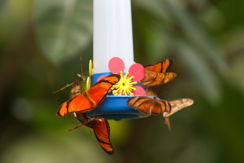 <div class='credito_fotos'>Foto: Pedro Guerreiro / Ag. Pará | <a href='/midias/2024/originais/18874_f6ac6ede-03e8-9341-1aa4-2605ec7ee832.jpg' download><i class='fa-solid fa-download'></i> Download</a></div>