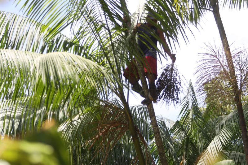 <div class='credito_fotos'>Foto: Pedro Guerreiro / Ag. Pará | <a href='/midias/2024/originais/18890_70c733ba-5ea0-4783-c33e-716cdb7d02c8.jpg' download><i class='fa-solid fa-download'></i> Download</a></div>
