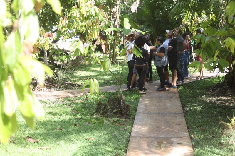 <div class='credito_fotos'>Foto: Pedro Guerreiro / Ag. Pará | <a href='/midias/2024/originais/18890_7794433d-d6b0-1604-9e4d-da1a55ce29cc.jpg' download><i class='fa-solid fa-download'></i> Download</a></div>