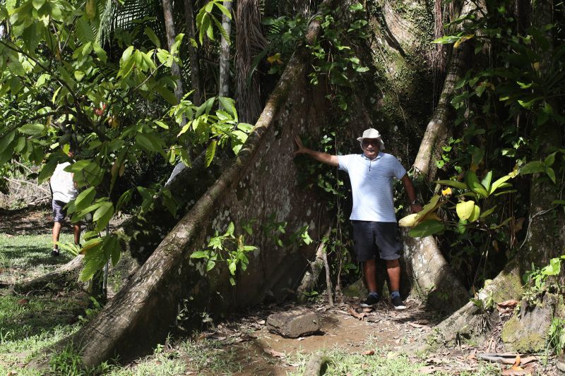 <div class='credito_fotos'>Foto: Pedro Guerreiro / Ag. Pará | <a href='/midias/2024/originais/18890_cee60920-49aa-ba81-36aa-602433c4bc46.jpg' download><i class='fa-solid fa-download'></i> Download</a></div>