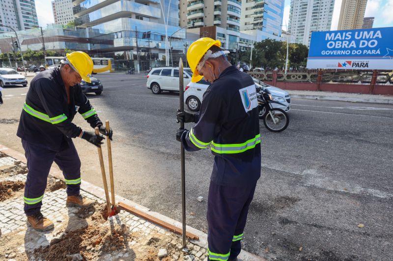 <div class='credito_fotos'>Foto: Bruno Cecim / Ag.Pará | <a href='/midias/2024/originais/18908_578d033f-77e4-b689-2c7b-0b27e9df84eb.jpg' download><i class='fa-solid fa-download'></i> Download</a></div>