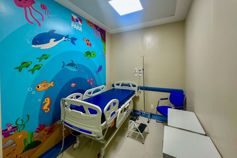 <div class='credito_fotos'>Foto: Wellyngton Coelho / Ag.Pará | <a href='/midias/2024/originais/18946_f86c6592-5f3b-0ba9-1f10-cd7fd3087b95.jpg' download><i class='fa-solid fa-download'></i> Download</a></div>