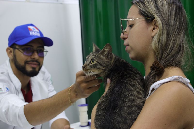 <div class='credito_fotos'>Foto: Pedro Guerreiro / Ag. Pará | <a href='/midias/2024/originais/19951_577aa197-ab2a-c941-331d-94473b893441.jpg' download><i class='fa-solid fa-download'></i> Download</a></div>