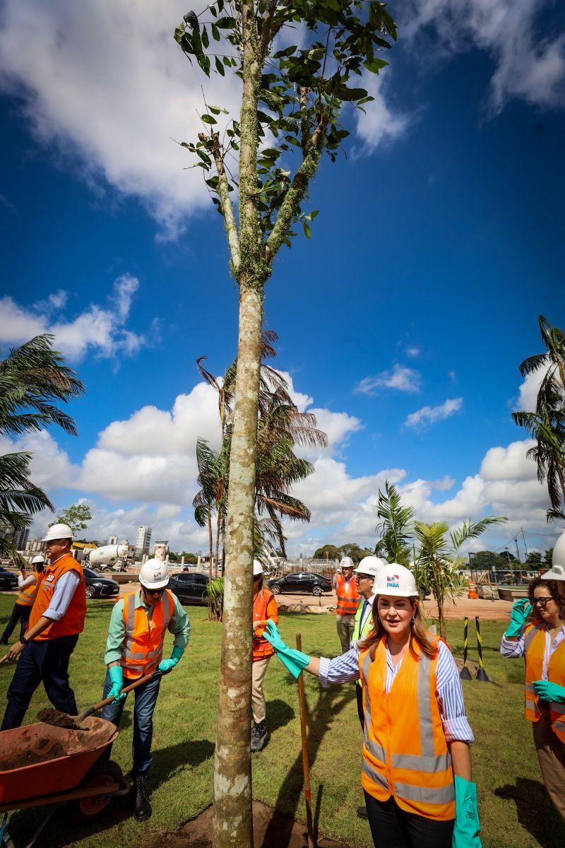 <div class='credito_fotos'>Foto: Bruno Cecim / Ag.Pará | <a href='/midias/2024/originais/19978_04793913-65af-d927-b7c0-5dc9584d3a79.jpg' download><i class='fa-solid fa-download'></i> Download</a></div>