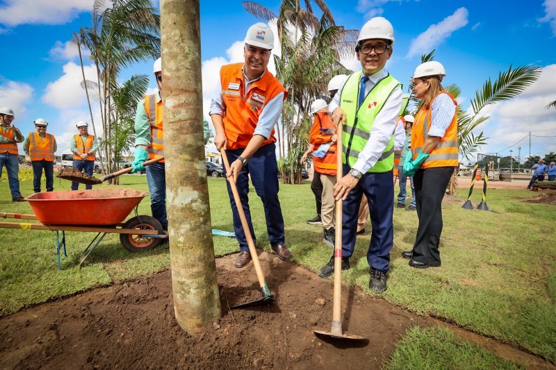 <div class='credito_fotos'>Foto: Bruno Cecim / Ag.Pará | <a href='/midias/2024/originais/19978_10194bcb-57dc-62b1-d12b-eba73f9d6d73.jpg' download><i class='fa-solid fa-download'></i> Download</a></div>