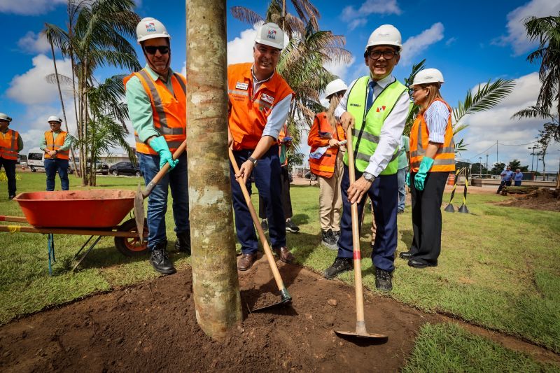 <div class='credito_fotos'>Foto: Bruno Cecim / Ag.Pará | <a href='/midias/2024/originais/19978_68c6698d-9541-8e8b-8047-2dce67a2c2d5.jpg' download><i class='fa-solid fa-download'></i> Download</a></div>