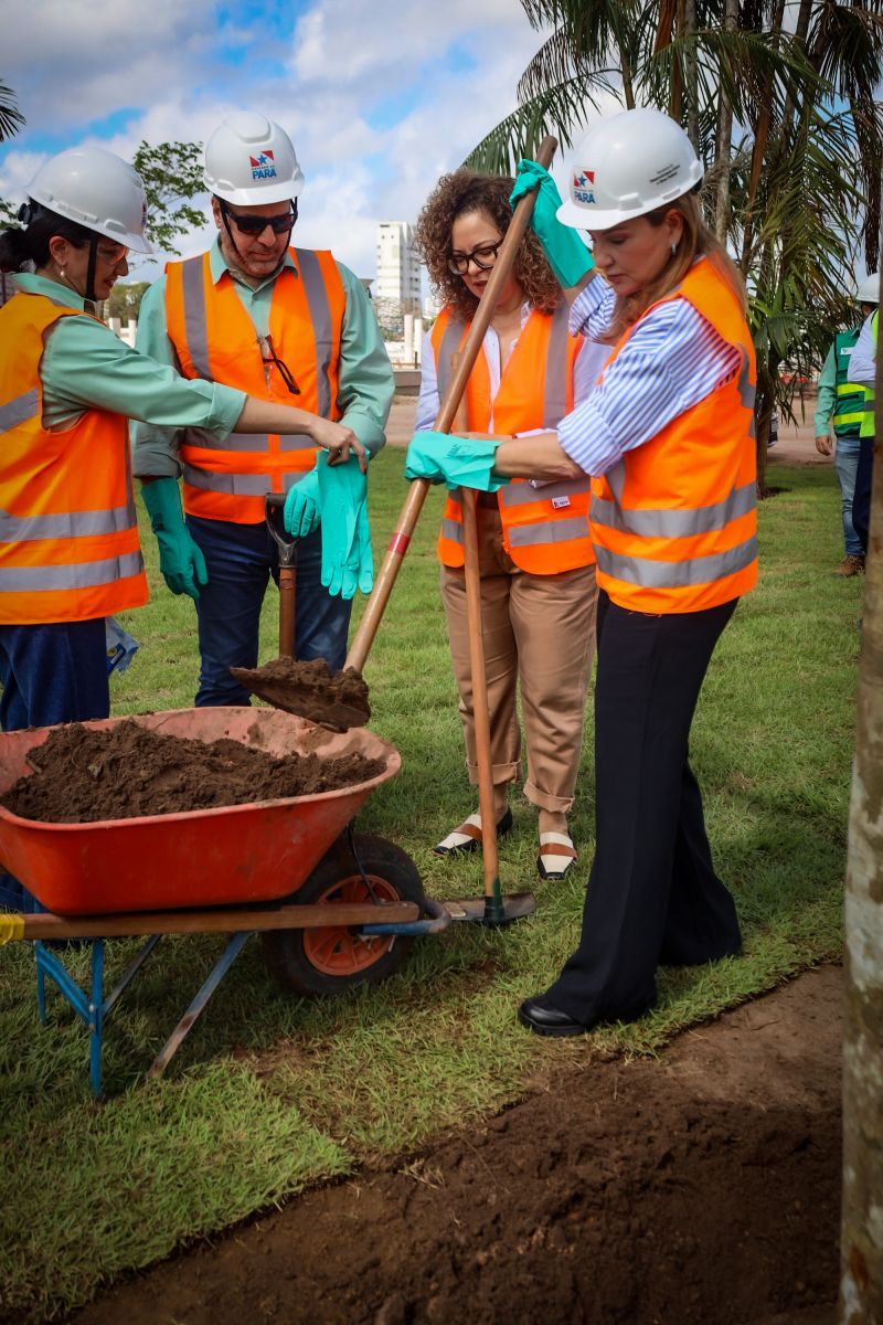 <div class='credito_fotos'>Foto: Bruno Cecim / Ag.Pará | <a href='/midias/2024/originais/19978_a502e8f0-ed1a-f54e-8cd4-4ab27fa7282d.jpg' download><i class='fa-solid fa-download'></i> Download</a></div>