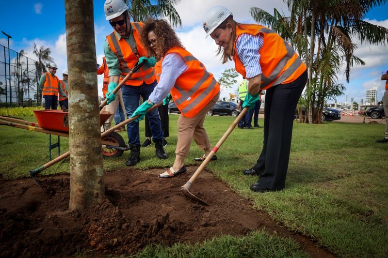 <div class='credito_fotos'>Foto: Bruno Cecim / Ag.Pará | <a href='/midias/2024/originais/19978_e112080f-01af-4658-9b61-cdaab00f05b6.jpg' download><i class='fa-solid fa-download'></i> Download</a></div>