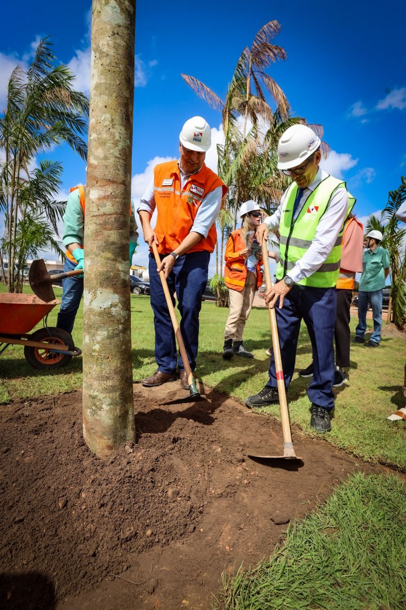 <div class='credito_fotos'>Foto: Bruno Cecim / Ag.Pará | <a href='/midias/2024/originais/19978_f3e65382-18e9-fda6-a623-1e0ce70cd0a6.jpg' download><i class='fa-solid fa-download'></i> Download</a></div>